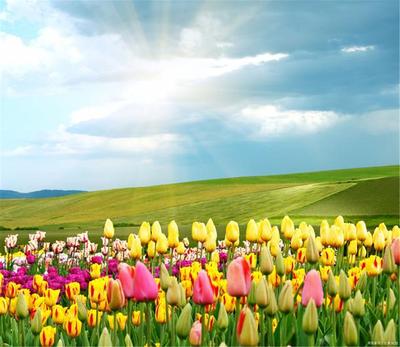 深圳易经培训 DMTC深圳算命大美天成