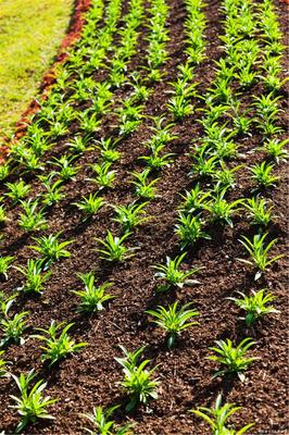 z深圳易经风水培训公司yjds88.com