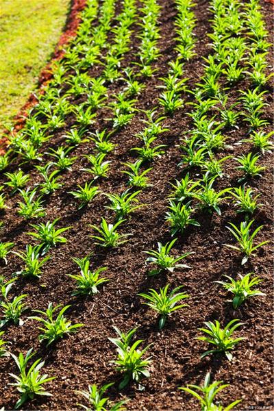 z深圳易经风水培训公司yjds88.com