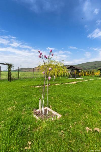 深圳风水大师 深圳风水大美天成 深圳家居风水布局