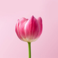 深圳易经培训班深圳易经培训班