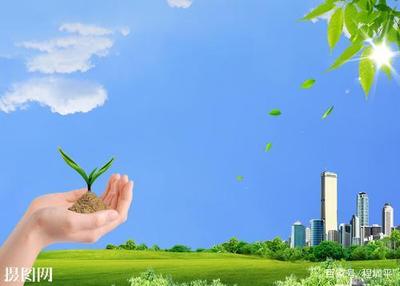 深圳易经培训班 DMTC深圳算命大美天成