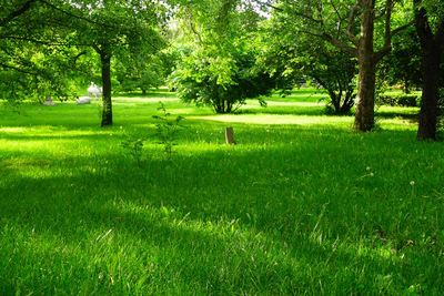 网上择日大师排名电话咨询