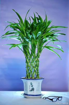 深圳-名字里的城市密码，起名大师黄天雄