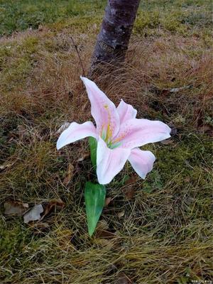 深圳择日 深圳搬家择日 深圳择吉日深圳选日子