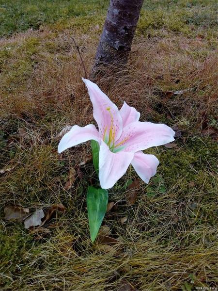 深圳择日 深圳搬家择日 深圳择吉日深圳选日子