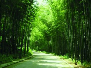 《深圳市大美天成易经培训公司地址》