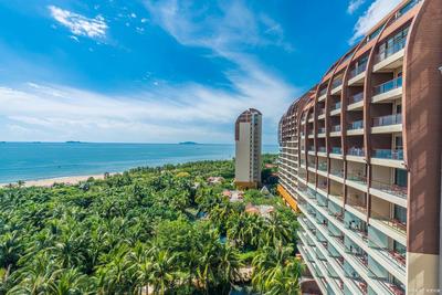 盐田区：“金龟入海”格局解读，深圳风水先生黄天雄