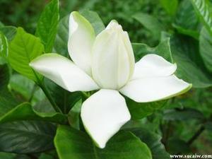 风水公司深圳家居风水布局