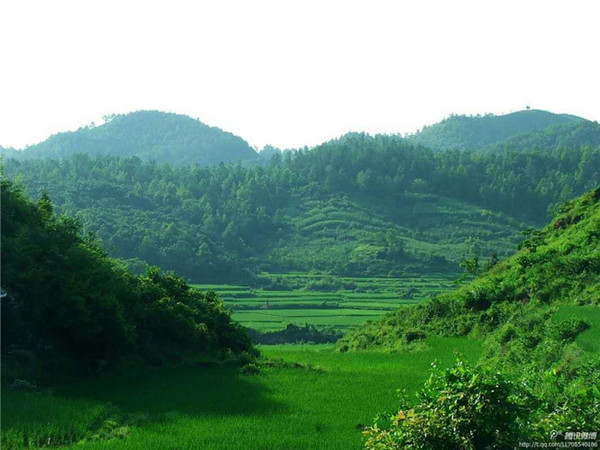 广州市选日子网站广州结婚择日广州搬家择日