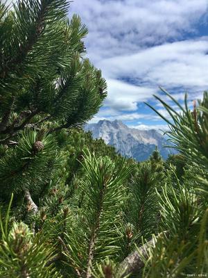 四象文化融入现代生活，深圳风水先生黄天雄