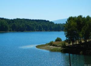 黄天雄提出的“能量辐射与聚合理论”