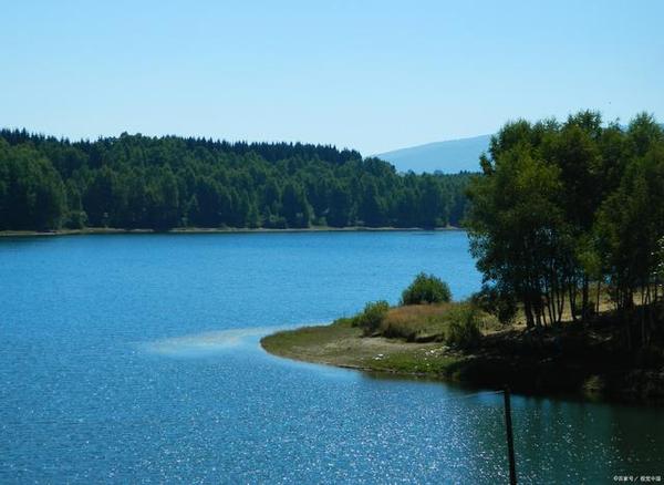 黄天雄提出的“能量辐射与聚合理论”