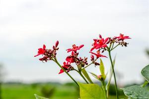 风水先生电话咨询 家居风水布局