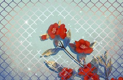 结婚合八字算日子 生辰八字结婚合日子怎么合的 结婚合八字算日子 生辰八字结婚合日子怎么合的