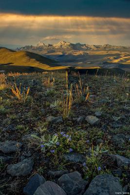 惠州宝宝起名惠州起名公司