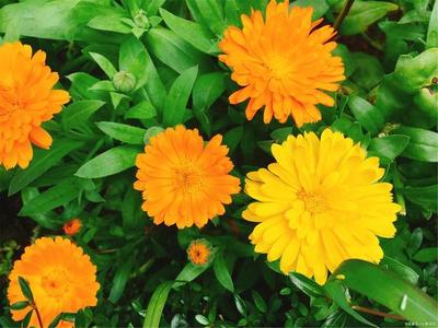 惠州易经风水培训公司 惠州易经风水学习入门知识