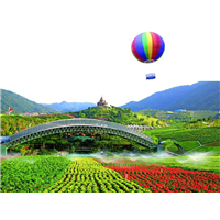 深圳市大美天成咨询公司深圳市上梅林