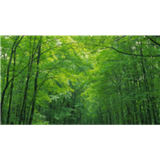 深圳起名公司 深圳起名取名 深圳宝宝起名