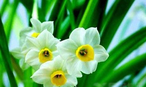 惠州宝宝起名字大师